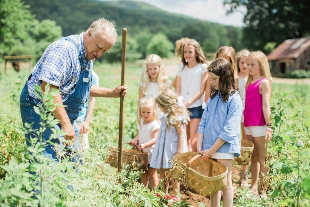 Blackberry Farm-foraging